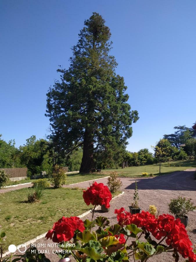 Hotel Le Manoir Sequoia Airvault Exterior foto